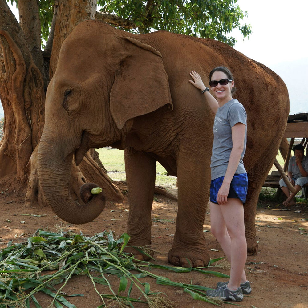 Experiencing an elephant sanctuary in Thailand…